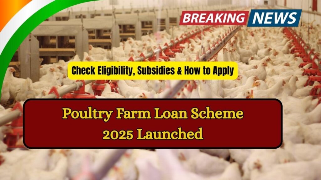 Poultry Farm Loan Scheme 2025 Launched—Check Eligibility, Subsidies & How to Apply