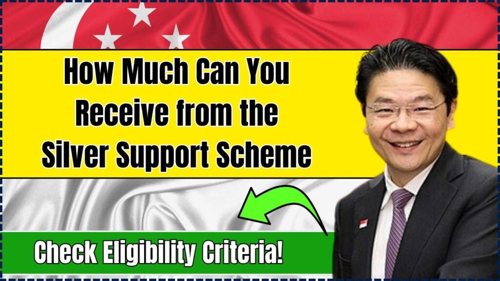 Silver Support Scheme in 2025